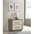 Pemberly Row Modern 2-Drawer Nightstand Bedside Table in Grey Oak