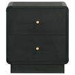 Pemberly Row Modern 2-Drawer Nightstand Bedside Table in Black