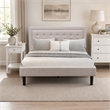Pemberly Row 2-Piece Wood Fannin Queen Bedroom Set in Mist Beige