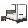 Pemberly Row Denali 3-Piece Wood Bedroom Set in Brush Gray Finish