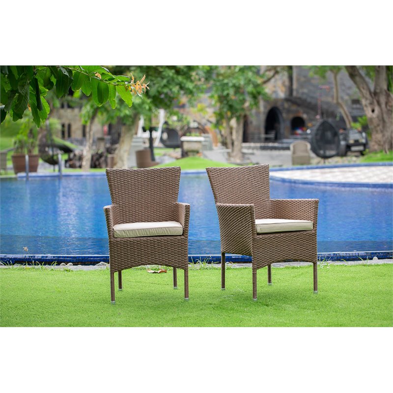 Pemberly Row Patio Dining Chairs in Brown Wicker with Metal Frame (Set of 2)