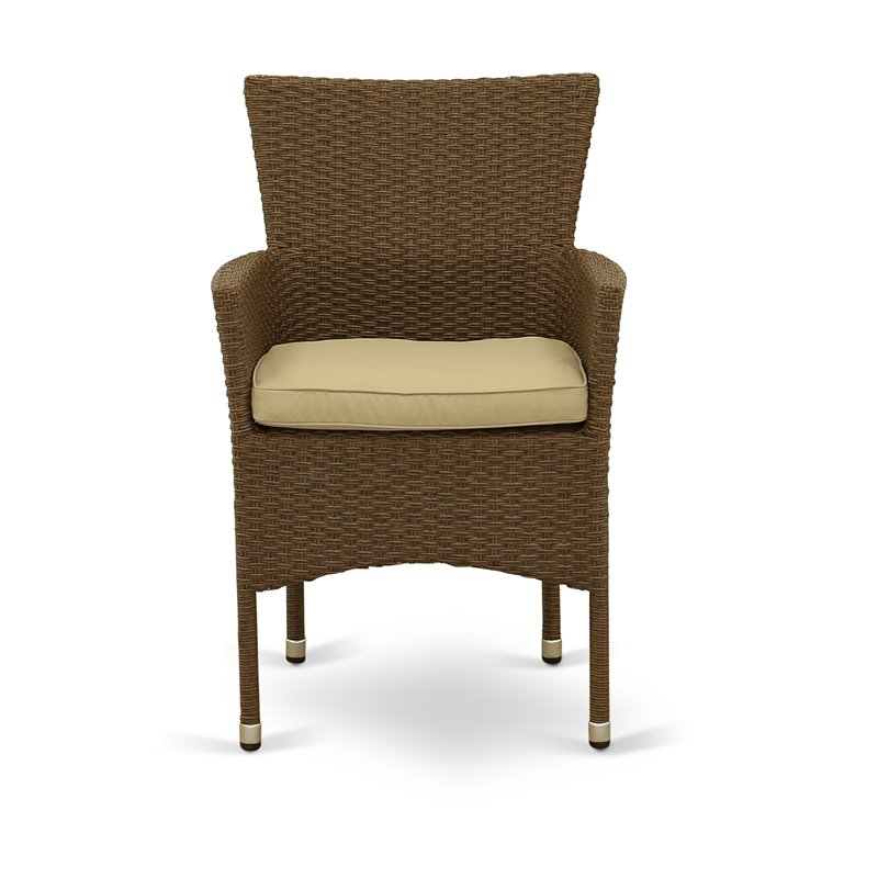 Pemberly Row Patio Dining Chairs in Brown Wicker with Metal Frame (Set of 2)