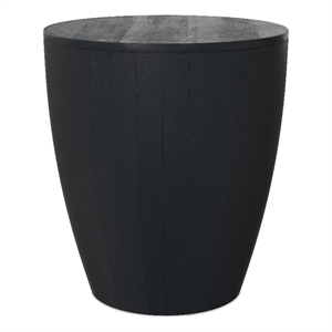 Pemberly Row 21&quot Wide Solid Mango Wood Modern End Table in Black