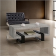 Pemberly Row Modern Driftwood Open Shelf Coffee Table in Gray and Black