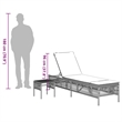 Pemberly Row 3 Piece PE Rattan Sun Lounger Set with Cushions in Gray