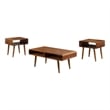 Pemberly Row 3 Piece Mid Century Wooden Occasional Table Set in Brown