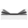 Pemberly Row PE Rattan 76.8 x 23.6 x 12.2 in Sun Lounger in White