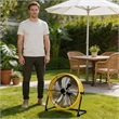Pemberly Row Yellow Steel 20
