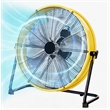 Pemberly Row Yellow Steel 20