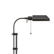 Pemberly Row 100W Floor Lamp with Adjustable Pole in Dark Bronze