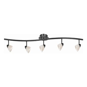 Pemberly Row 5-Light Track Fixture with Glass Shades in Black & White