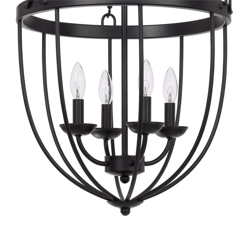 Pemberly Row 4-Light Chandelier with Metal Bird Cage and Chain in Black