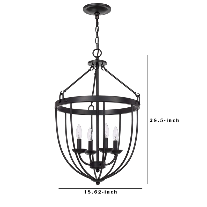 Pemberly Row 4-Light Chandelier with Metal Bird Cage and Chain in Black