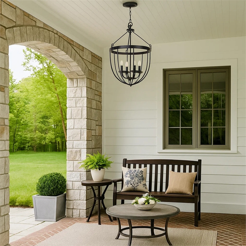 Pemberly Row 4-Light Chandelier with Metal Bird Cage and Chain in Black