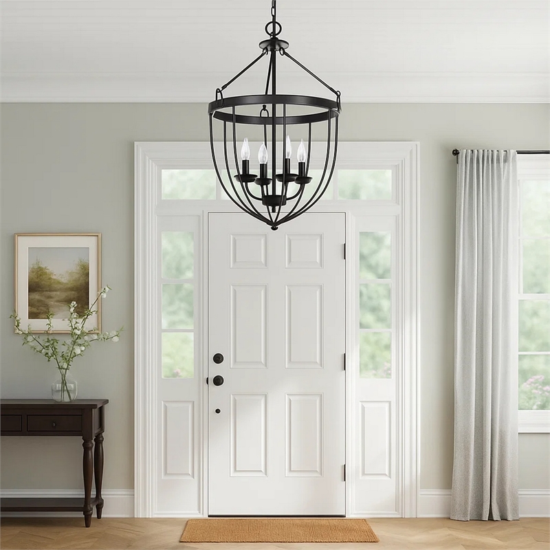 Pemberly Row 4-Light Chandelier with Metal Bird Cage and Chain in Black