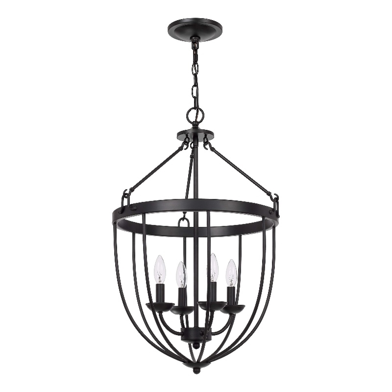 Pemberly Row 4-Light Chandelier with Metal Bird Cage and Chain in Black