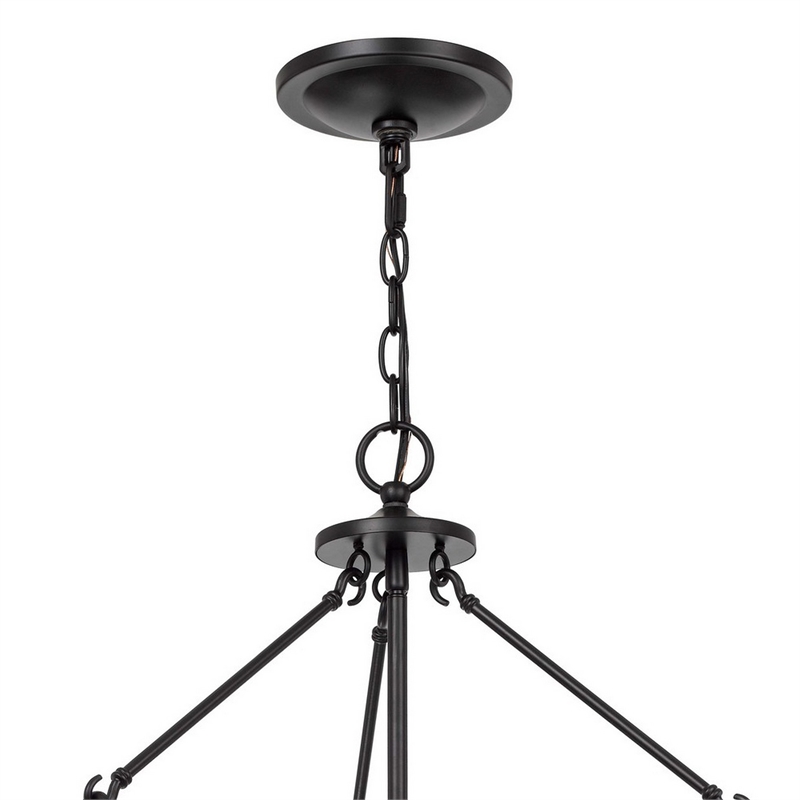 Pemberly Row 4-Light Chandelier with Metal Bird Cage and Chain in Black