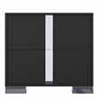 Pemberly Row Black 2-Drawer Nightstand with Metal Feet and Mirror Detail