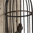 Pemberly Row Set of 2 Classic Bookends Birdcage Iron and Fir Wood
