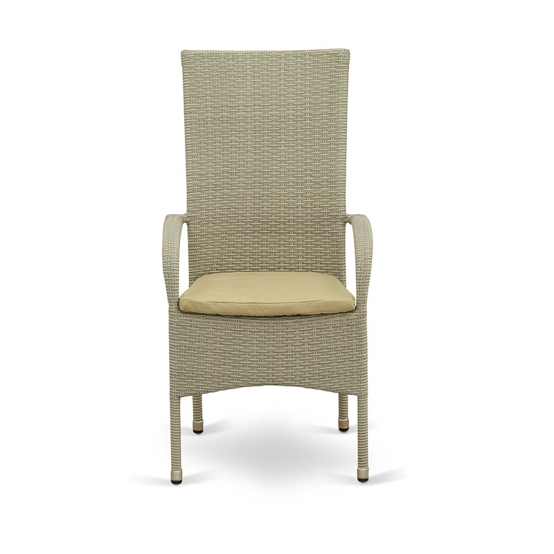 Pemberly Row Metal & Wicker Patio Dining Chair Set of 2 in Natural Linen