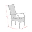 Pemberly Row Metal & Wicker Patio Dining Chair Set of 2 in Natural Linen