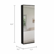 Pemberly Row Wall Mounted Shoe Rack with Mirror in Black Wengue