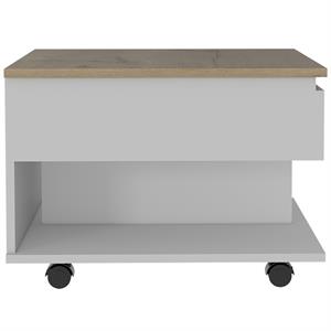 Pemberly Row Lift Top Coffee Table 21.6in Wide in Multi-Color