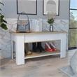 Pemberly Row Lift Top Storage Bench with Shoe Rack 40in in Multi-Color