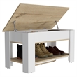 Pemberly Row Lift Top Storage Bench with Shoe Rack 40in in Multi-Color