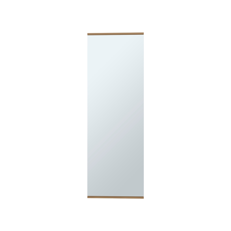 Pemberly Row Wall Mounted Mirrored Shoe Rack 42.4in High in Oak