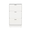 Pemberly Row 3 Tier Pull Down Shoe Cabinet 45in High in White