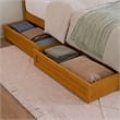 Pemberly Row Twin XL Wood Platform Bed with Storage Drawers in Light Toffee
