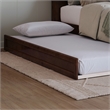 Pemberly Row Full Wood Platform Bed with Twin Trundle in Walnut