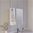 Pemberly Row Wall-Mounted Medicine Cabinet with Mirrored Door in White
