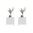 Pemberly Row Set of 2 Modern White Nightstands 2 Drawer Bedroom Storage