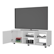 Pemberly Row TV Stand with Door Engineered Wood White 51.2