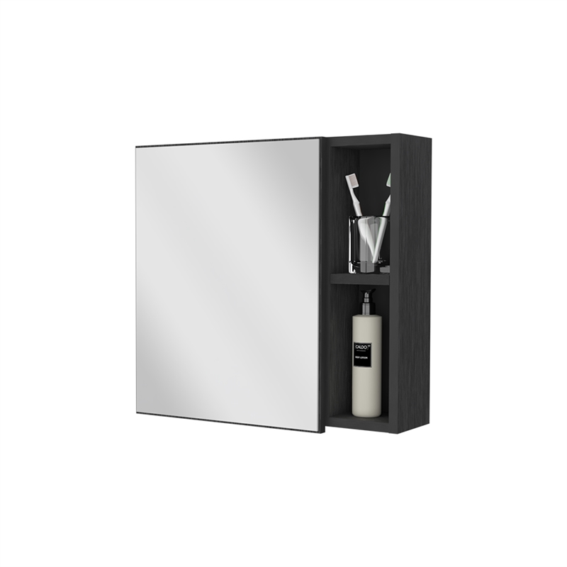 Pemberly Row 2-Shelf Medicine Cabinet in Engineered Wood Black Finish