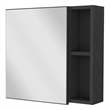 Pemberly Row 2-Shelf Medicine Cabinet in Engineered Wood Black Finish