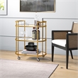 Pemberly Row Brass Metal and Glass Bar Cart with Wheels and Handles