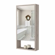 Pemberly Row Engineered Wood Medicine Cabinet with Mirror in Light Gray
