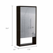 Pemberly Row Engineered Wood Medicine Cabinet with Mirror in Black