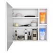 Pemberly Row Modern Engineered Wood Medicine Cabinet with Mirror in White