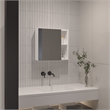 Pemberly Row Modern Engineered Wood Medicine Cabinet with Mirror in White