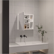 Pemberly Row Modern Engineered Wood Medicine Cabinet with Mirror in White