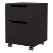 Pemberly Row Nightstand with 1 Door and 1 Drawer Engineered Wood in Wengue