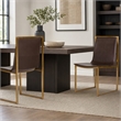 Pemberly Row Set of 2 Modern Steel and Faux Leather Dining Chairs in Brown