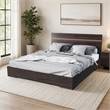 Pemberly Row 62x83 Modern Wood and Stainless Steel Queen Bed in Walnut
