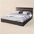 Pemberly Row 62x83 Modern Wood and Stainless Steel Queen Bed in Walnut