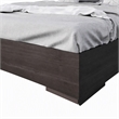 Pemberly Row 62x83 Modern Wood and Stainless Steel Queen Bed in Walnut