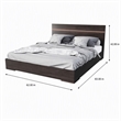 Pemberly Row 62x83 Modern Wood and Stainless Steel Queen Bed in Walnut